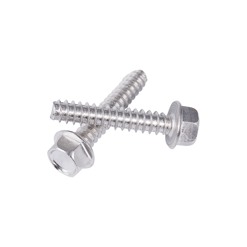 C1022A SUS410 SUS304 SUS316 Vlakke staart zelftappende schroef